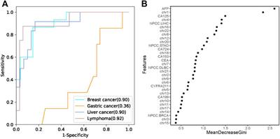 Effective Identification of Maternal Malignancies in Pregnancies Undergoing Noninvasive Prenatal Testing 